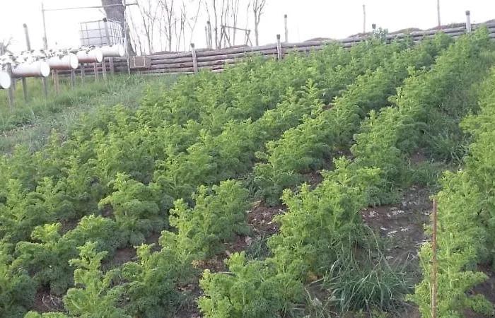 La Tana Del Picchio *