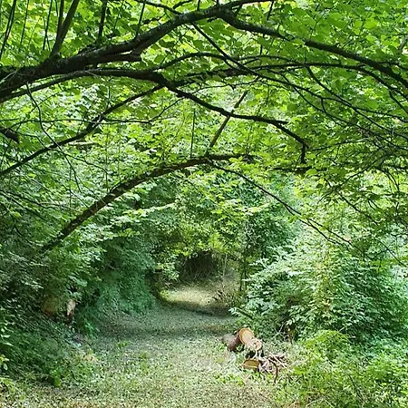 La Tana Del Picchio * Neviano degli Arduini