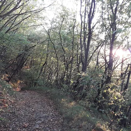 Alloggio per agriturismo La Tana Del Picchio