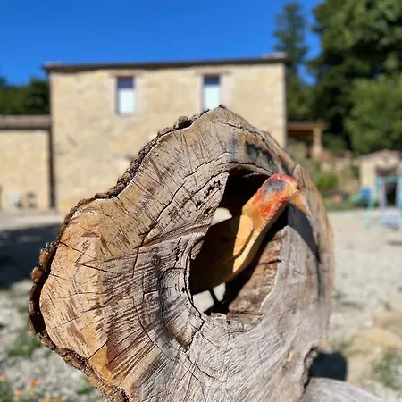 בית חווה La Tana Del Picchio