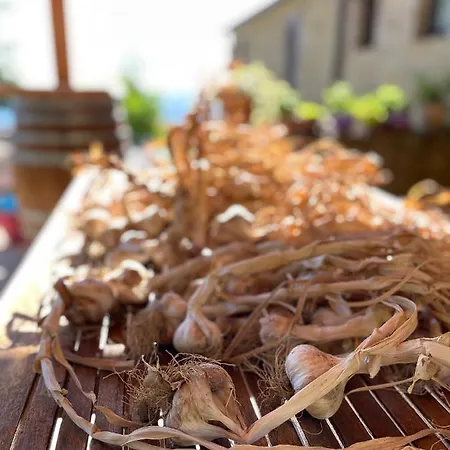 La Tana Del Picchio בית חווה