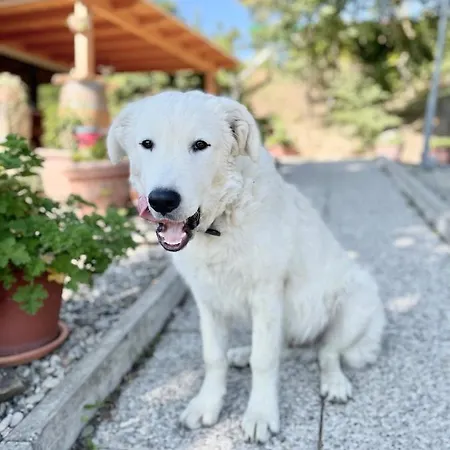 La Tana Del Picchio * Neviano degli Arduini