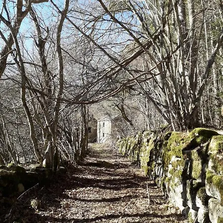 La Tana Del Picchio בית חווה