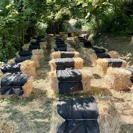 בית חווה La Tana Del Picchio