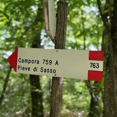 Gospodarstwo agroturystyczne La Tana Del Picchio Neviano degli Arduini