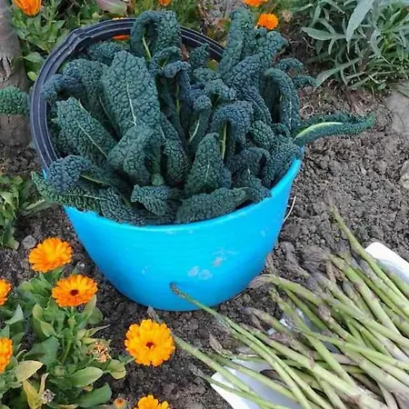 La Tana Del Picchio *