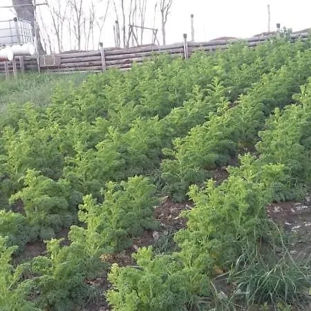 La Tana Del Picchio *