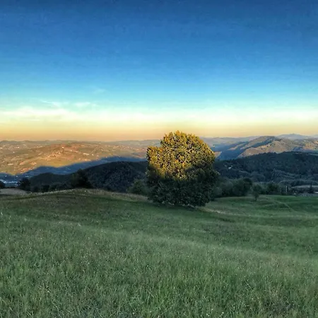 La Tana Del Picchio בית חווה Neviano degli Arduini