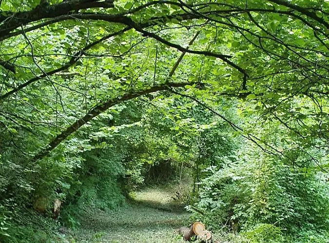 La Tana Del Picchio * Neviano degli Arduini