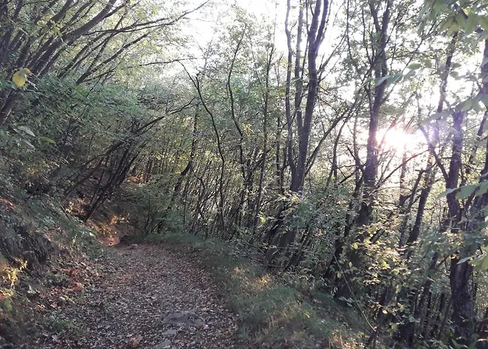 مزرعة للإقامة La Tana Del Picchio