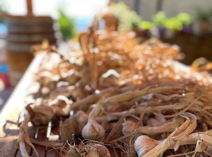 La Tana Del Picchio Séjour à la ferme