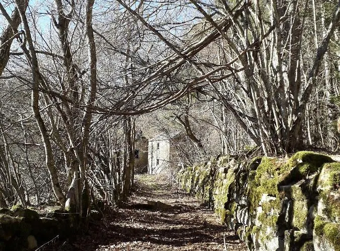La Tana Del Picchio Séjour à la ferme