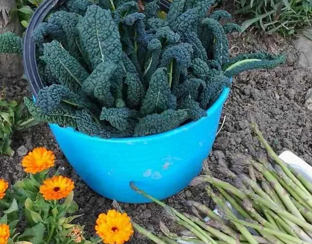 La Tana Del Picchio *